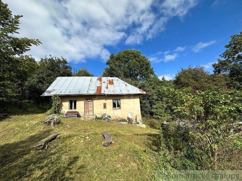 A family house with a metal roof, surrounded by greenery and the peaceful environment of nature.