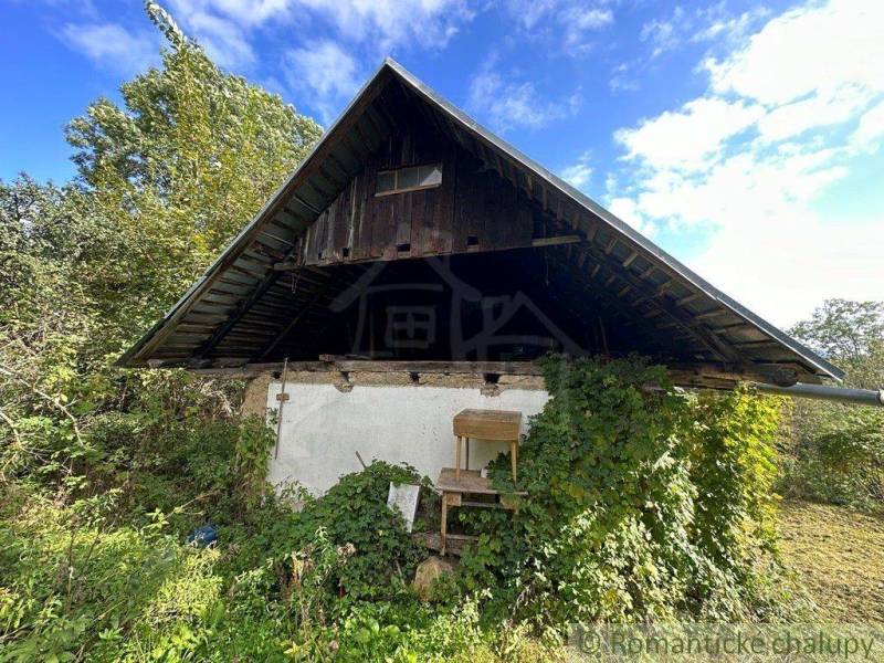 An old cottage surrounded by greenery, with a wooden roof, family and nature harmoniously coexisting.