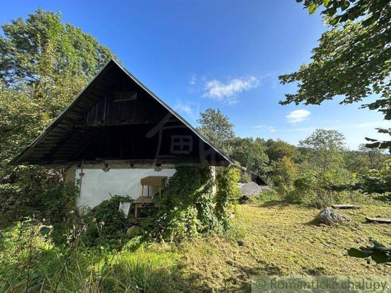 A family house with a wooden roof surrounded by greenery, ideal for nature lovers.