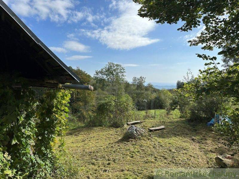 A rural view from the property with greenery and a part of a family house.