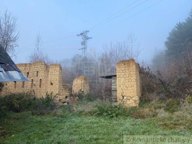 A ruin of a family house in a misty landscape, surrounded by greenery and wires.