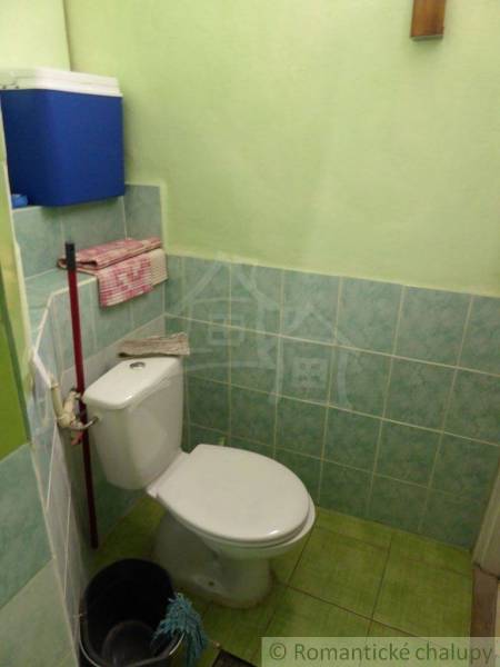 Small bathroom and family house with a toilet, bucket, mop, green tiles and walls.