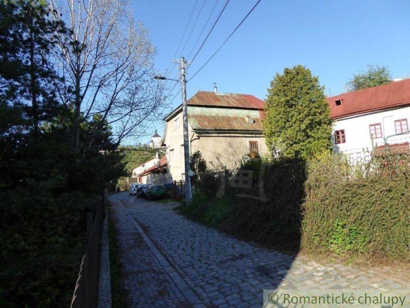 A narrow alley lined with houses immersed in greenery, near a family house.