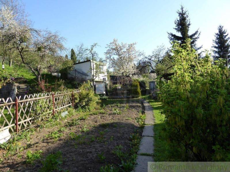 A garden with blooming trees and a family house, an ideal space for relaxation.