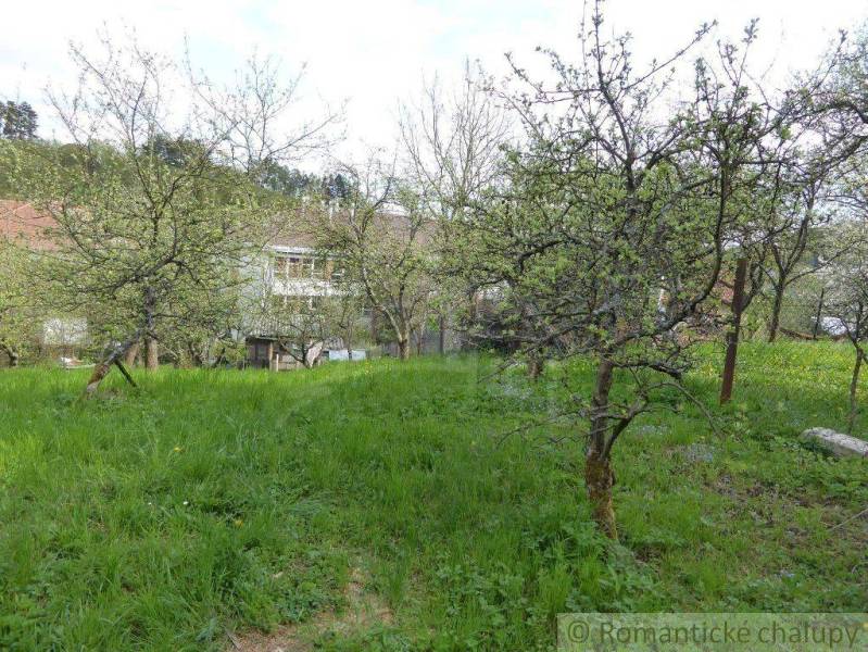 A garden with fruit trees and a family house in the background, in the countryside.