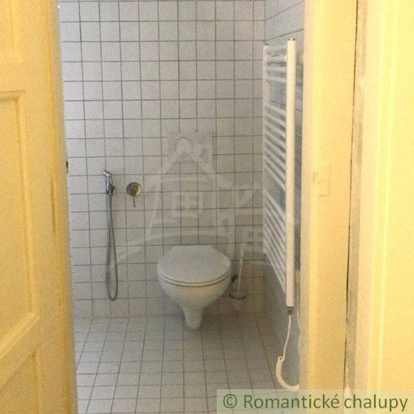 A bathroom with a shower and a radiator suitable for a 2-room apartment.