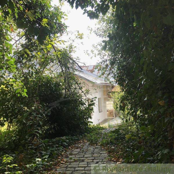 Unusual properties, a white house behind intertwined greenery with a stone path in the garden.