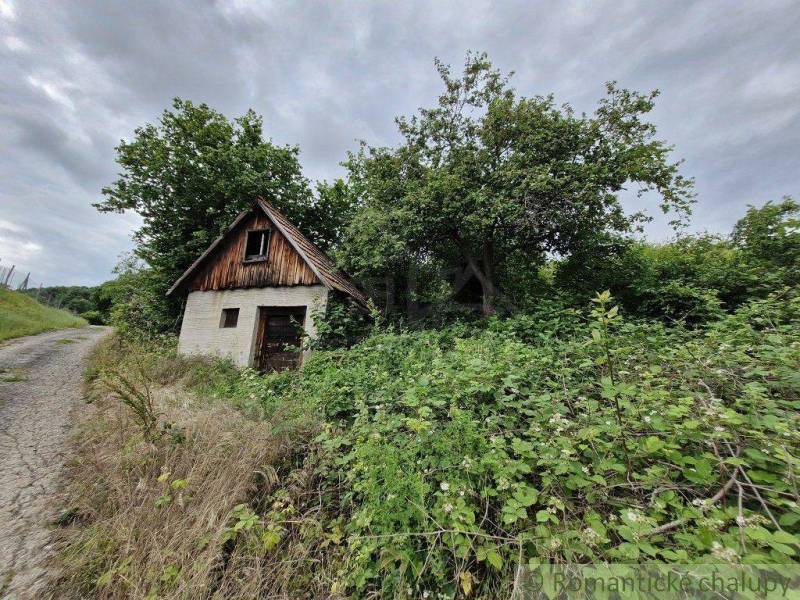 An old cottage by the road surrounded by greenery, trees, and bushes. A modest family house.