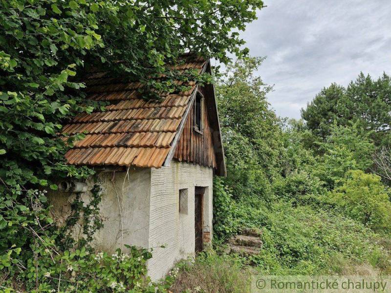 An old log cabin hidden in nature, surrounded by a dense, green forest. Family house.