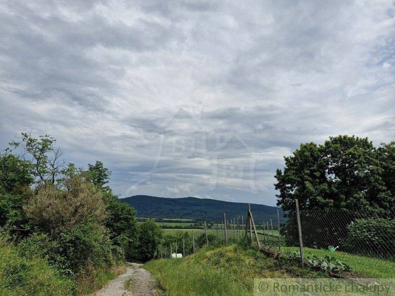 A rural landscape with a dirt road, green meadows, and distant hills near a family house.