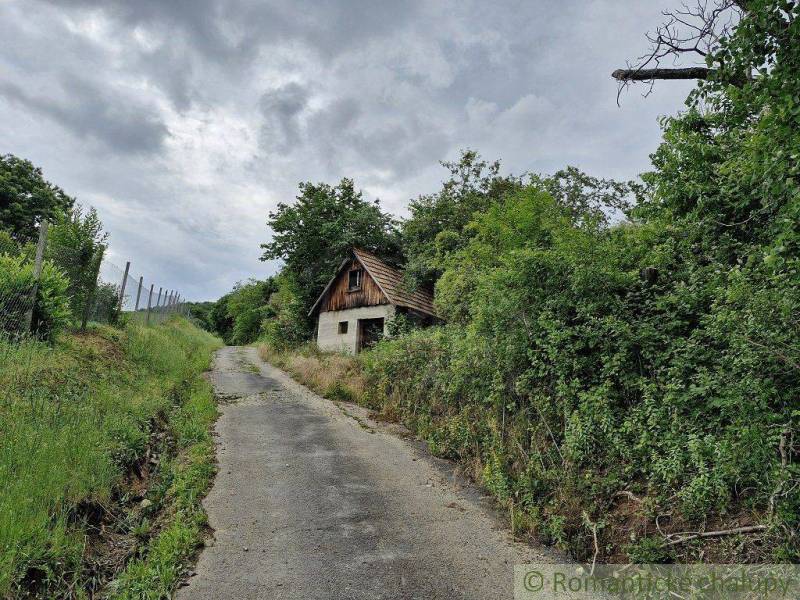 A country house hidden in the trees, next to the road, under a cloudy sky.