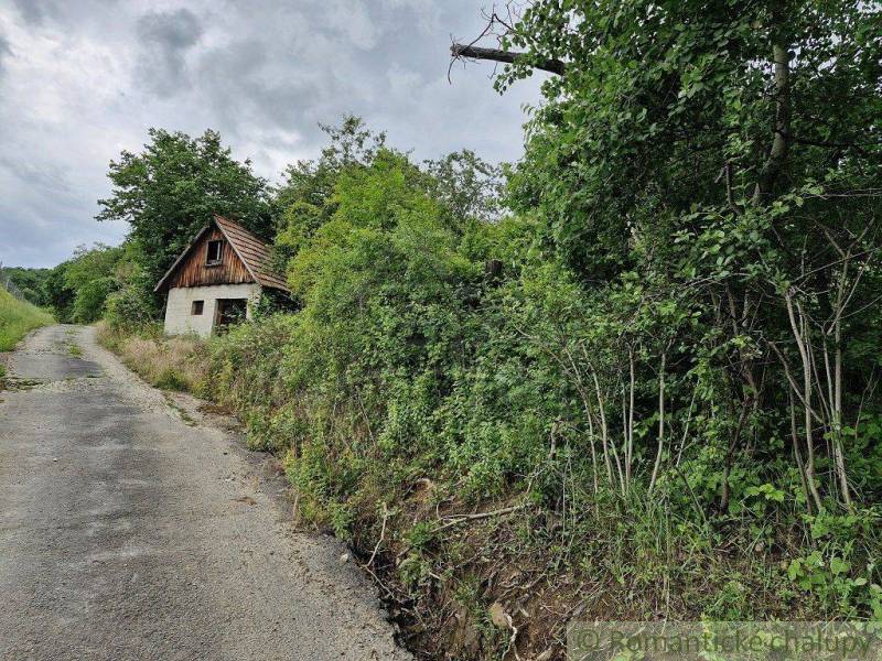 An abandoned family house by the road, surrounded by lush greenery in a picturesque setting.