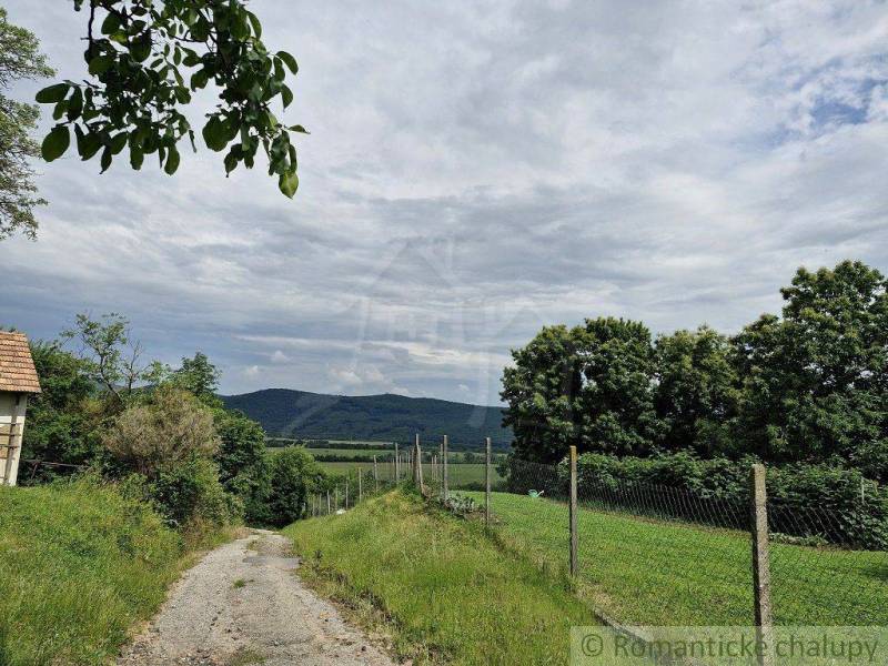 A stone path next to fields and trees offers a view of the mountains, leading to a beautiful family home.