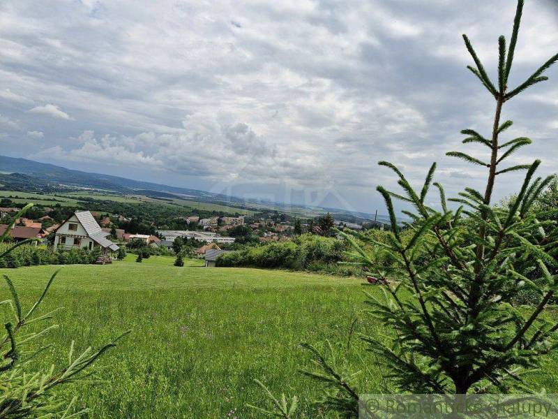 The landscape depicts a family house with mountains on the horizon, surrounded by greenery and forest.