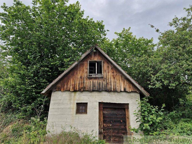 A small stone house in the forest, surrounded by green trees and bushes, with a hewn wooden roof.