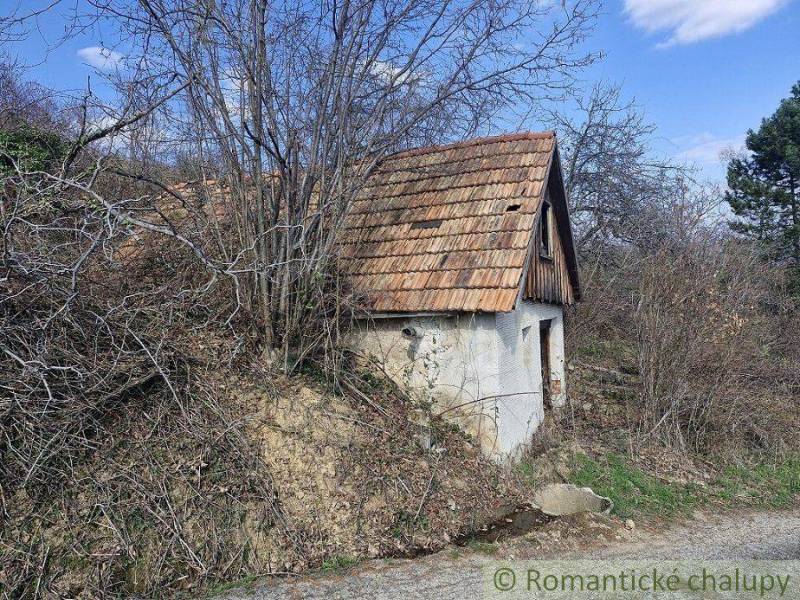 A family house with a wooden roof, surrounded by dry vegetation under a blue sky.