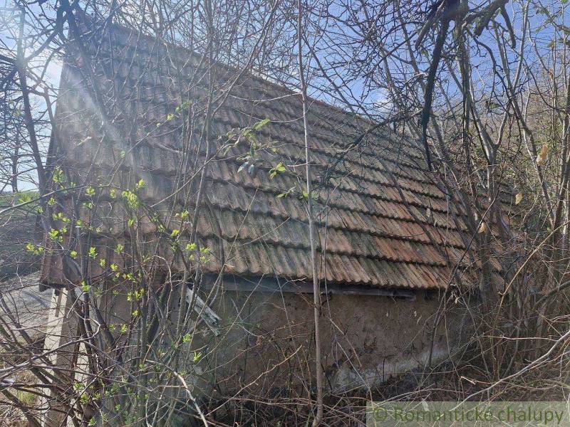 Abandoned cottage with a tiled roof overgrown with trees, ideal for renovation and a family home.