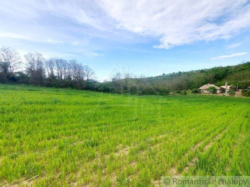 A vast field and a cottage near the forest, ideal for relaxation and close to nature.