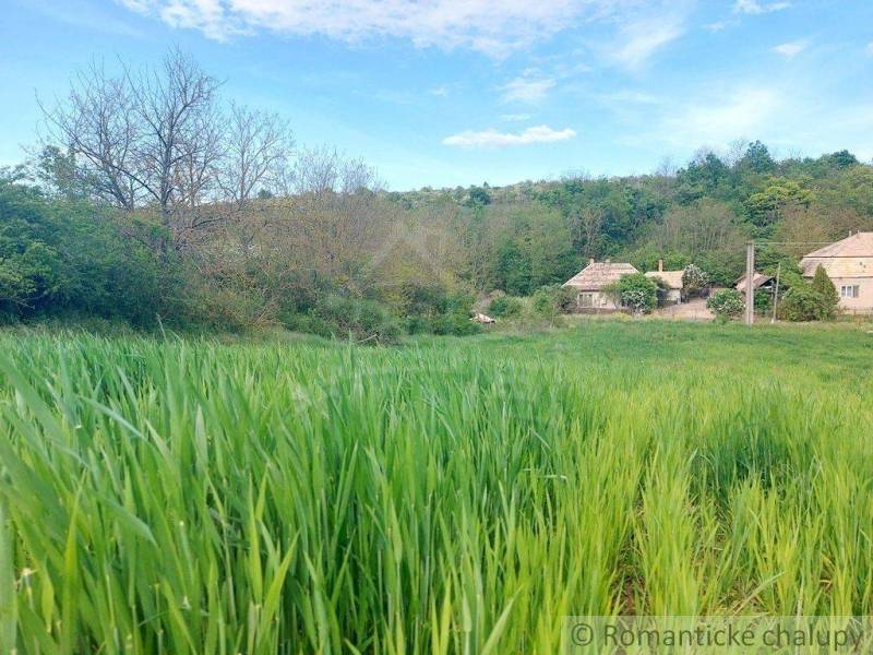 Green meadow, trees, and a visible cottage in a quiet rural setting.
