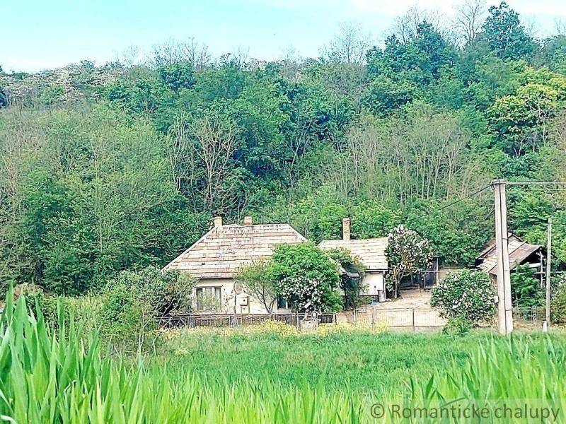 A cabin in the forest among the trees, surrounded by lush greenery and a peaceful atmosphere.