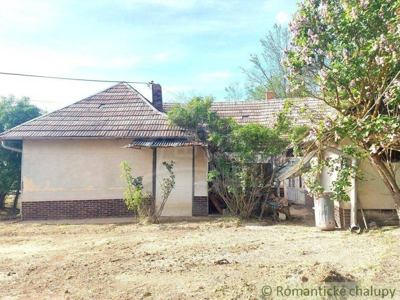 A cottage behind a leafy tree with a brick roof in the countryside awaits renovation.