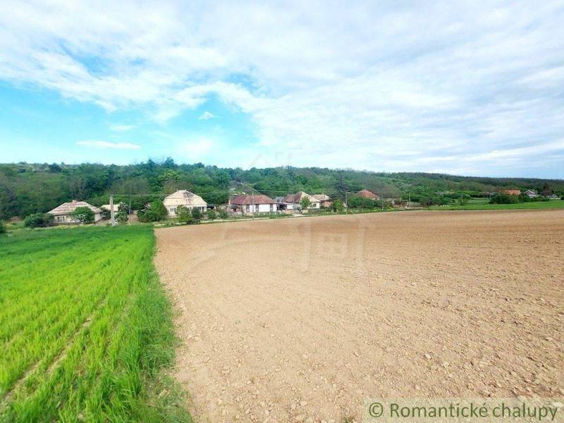 A landscape with a plowed field, rural cottages in a natural setting surrounded by forests.
