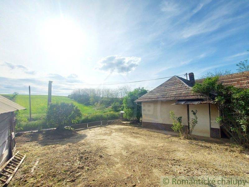 A sunny summer day, a cottage and a grassy garden surrounded by nature and trees.