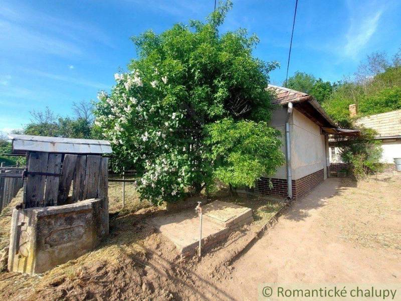 A cottage with a blooming tree and a wooden well in an idyllic rural setting.
