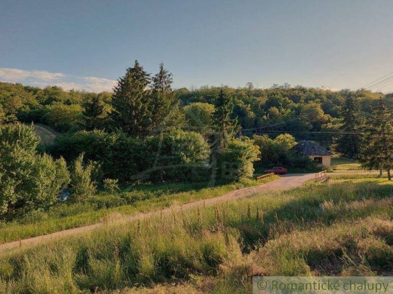 The landscape features a small house surrounded by trees, suitable for living.