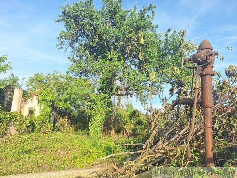 The image shows plots with housing, an old pump, and an overgrown structure in nature.