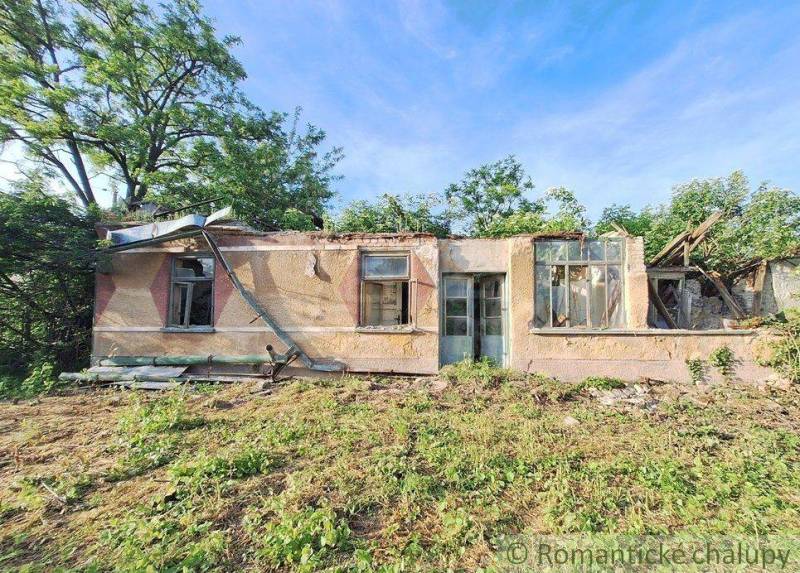 An abandoned house surrounded by greenery, ideal for renovation for living on the property.