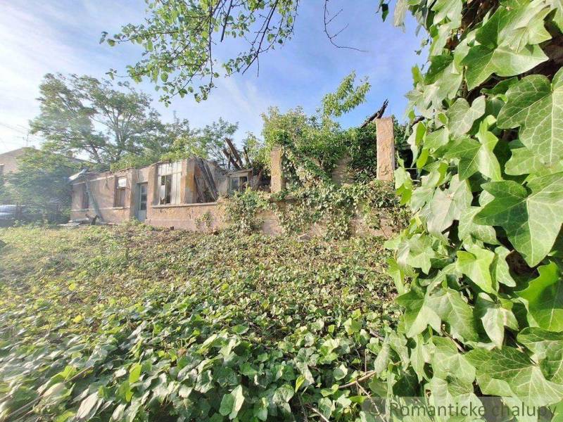 An old house surrounded by greenery, an ideal location for living in a natural environment.