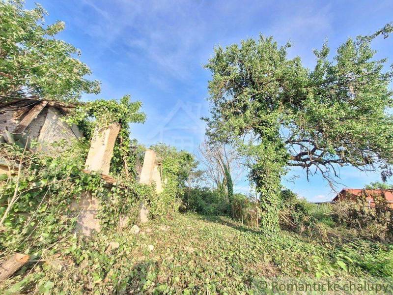 Abandoned plots with an old, overgrown house, suitable for new living.