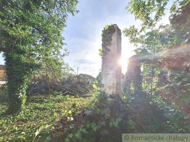 An overgrown garden with a ruin of a wall, sunlight filtering through the trees, ideal for living.