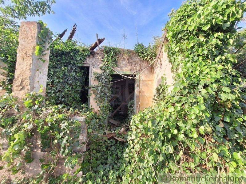 Overgrown ruins of an old house covered in greenery, ideal for property restoration - housing.