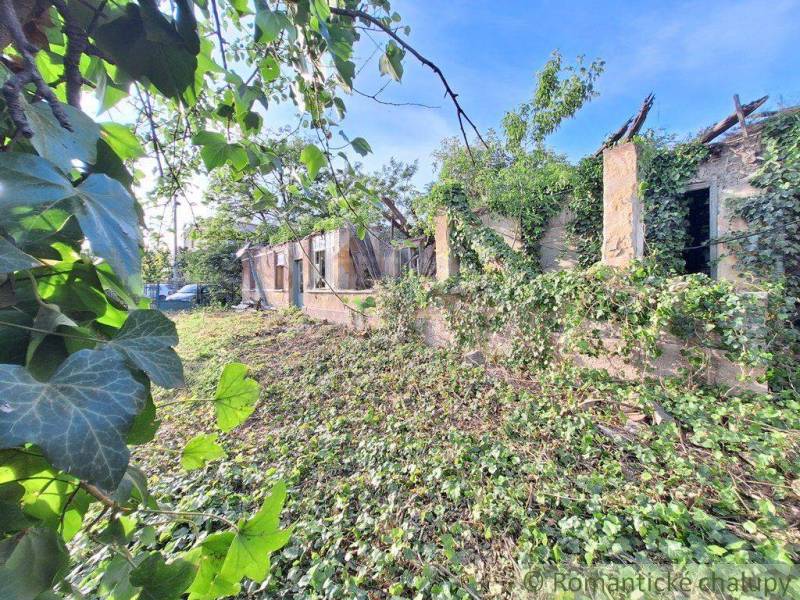 An old house covered with ivy on overgrown **grounds**, with the sky in the background. **Living**.