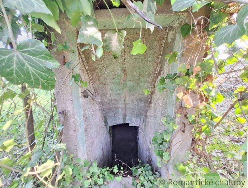 An old ivy-covered cellar entrance on the property, ideal for a cottage and living.