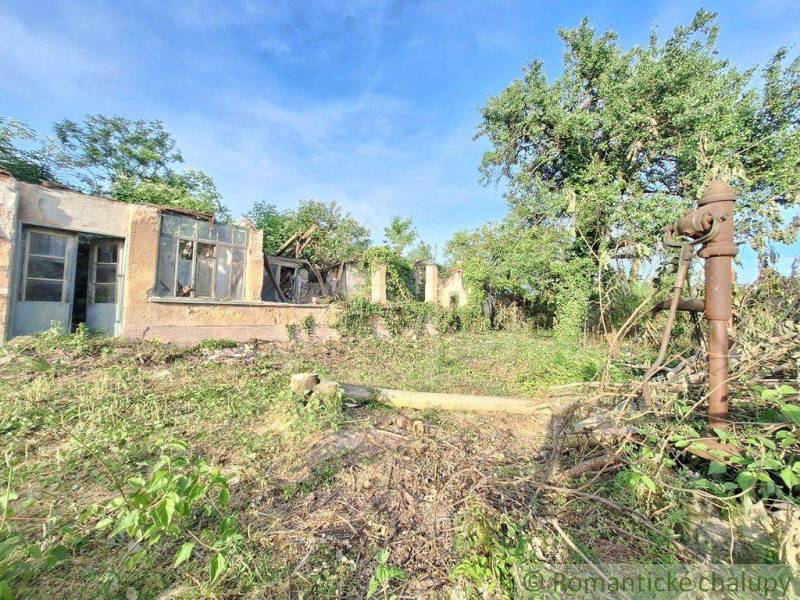 An overgrown plot with a dilapidated building and a well near a residence.