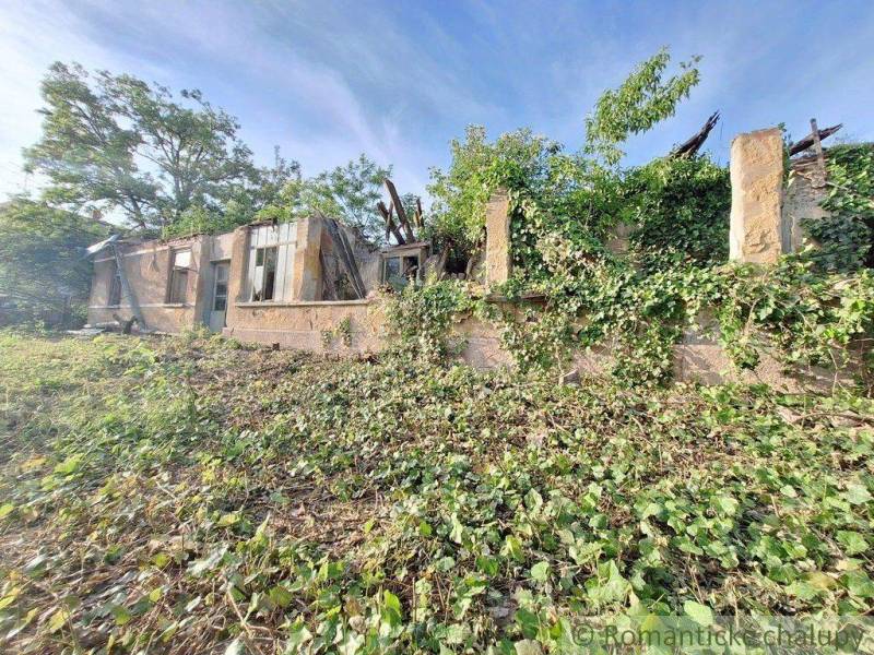 Overgrown ruin with land for living, surrounded by greenery and crumbling walls.