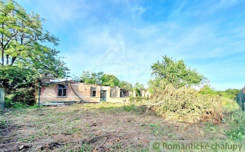 A view of an abandoned house on a plot, ideal for living or renovation.