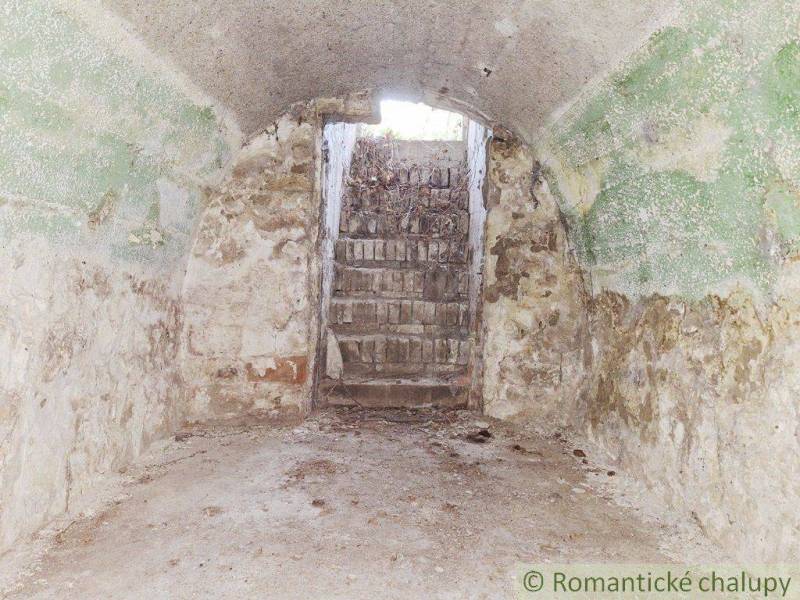 Old cellar with stone stairs ideal for storage or conversion into living space.