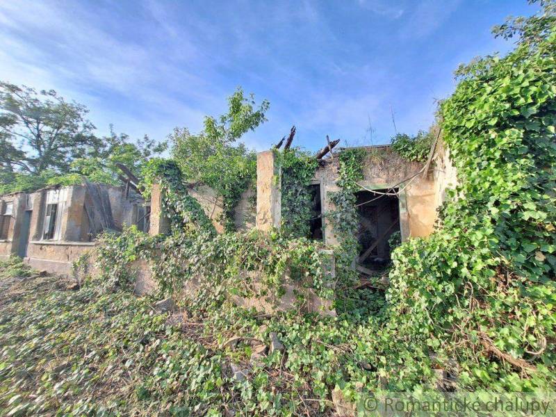 Abandoned, overgrown house ruins amidst nature symbolizing interesting possibilities for housing restoration.
