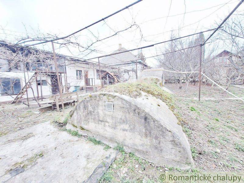 A yard with a cellar and a garden at a family house.