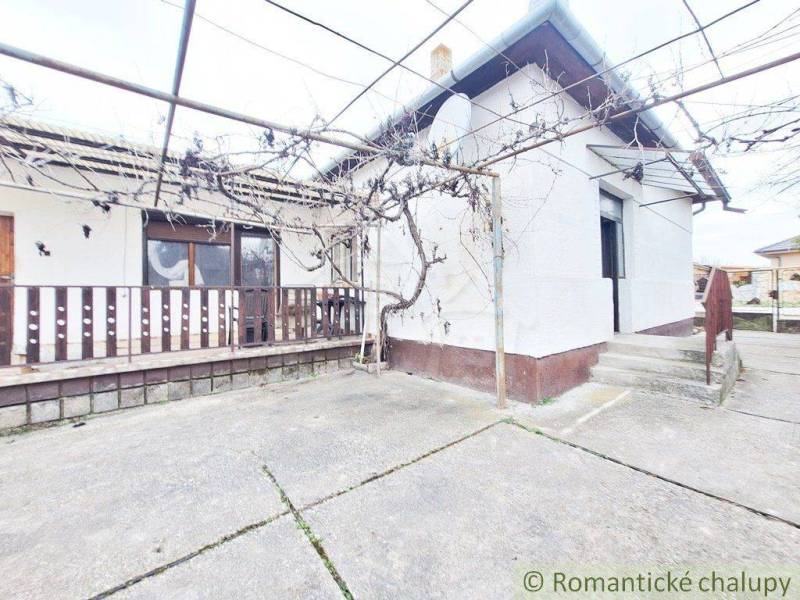 In the picture, there is a yard and a family house with a terrace and a vineyard pergola.