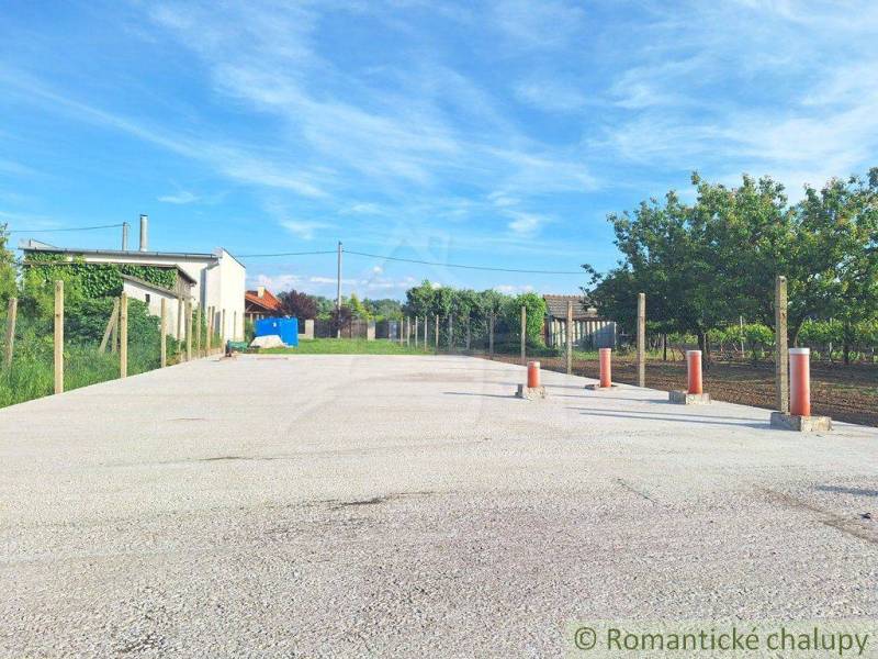 A concrete area near the house, bordered by fences and gardens, on a sunny day.