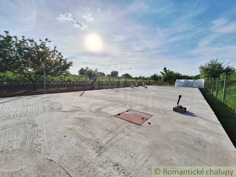 The image shows a large concrete area next to a garden, with a view of trees.