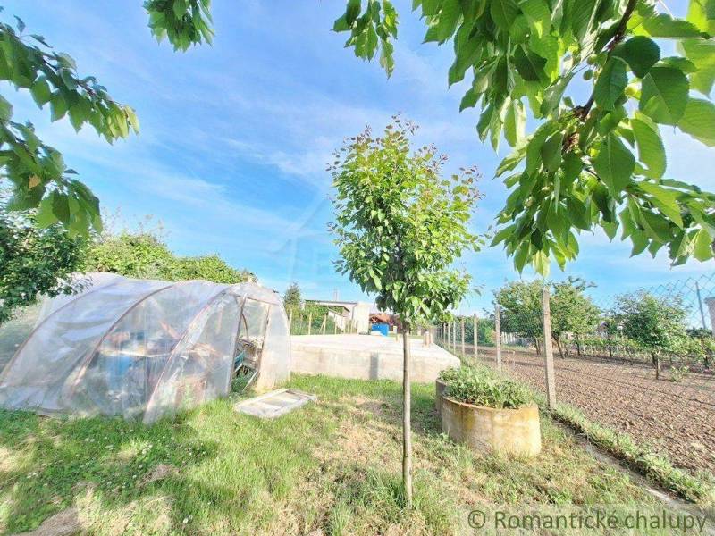 A garden with a greenhouse, trees, and a lawn under a blue sky.