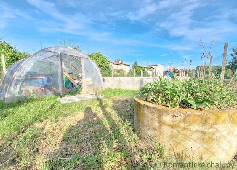 A greenhouse and a raised bed in a garden full of greenery and a gardening atmosphere.