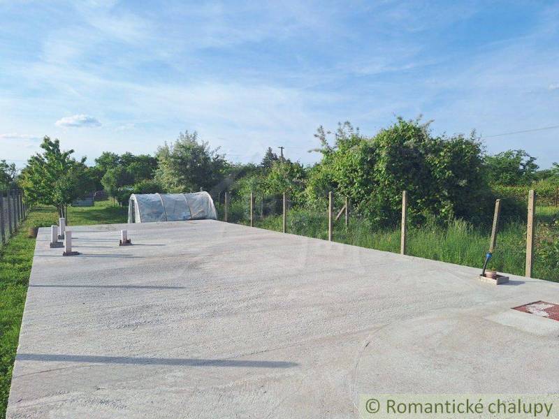 In the picture, there is a concrete area, trees, gardens, and a greenhouse in the background.