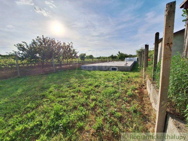 A view of a green meadow and a building surrounded by orchards.
